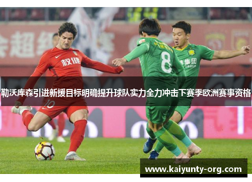 勒沃库森引进新援目标明确提升球队实力全力冲击下赛季欧洲赛事资格