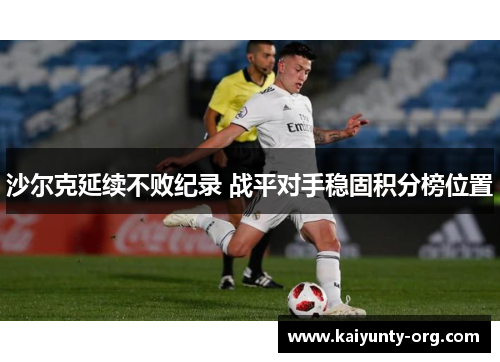 沙尔克延续不败纪录 战平对手稳固积分榜位置