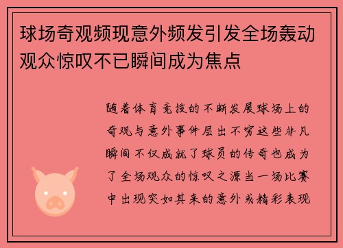 球场奇观频现意外频发引发全场轰动观众惊叹不已瞬间成为焦点
