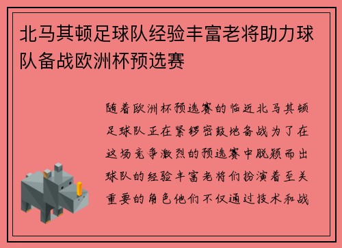 北马其顿足球队经验丰富老将助力球队备战欧洲杯预选赛
