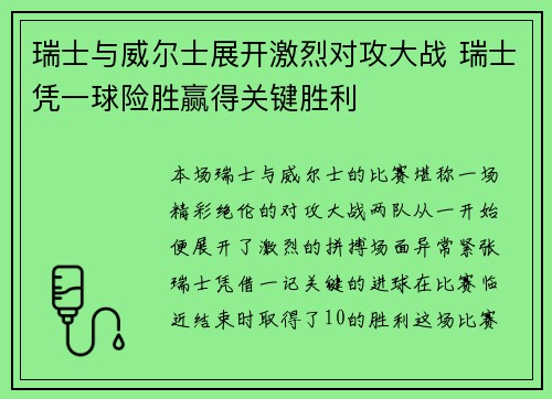 瑞士与威尔士展开激烈对攻大战 瑞士凭一球险胜赢得关键胜利