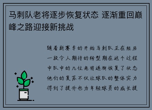 马刺队老将逐步恢复状态 逐渐重回巅峰之路迎接新挑战